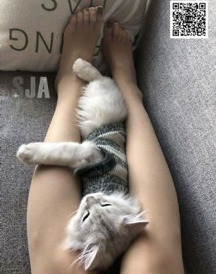 911国产自产精选_蓝光电影完整版在线观看