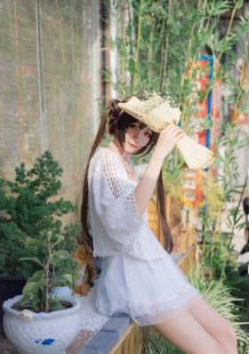 风流女公安一级毛片_720HD在线观看